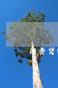 消费贷逾期还清多久征信更新 消费贷逾期还清多久征信更新