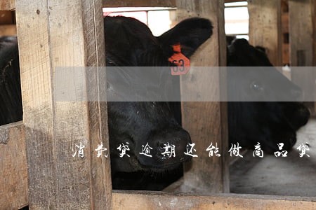 消费贷逾期还能做商品贷吗 消费贷逾期还能做商品贷吗