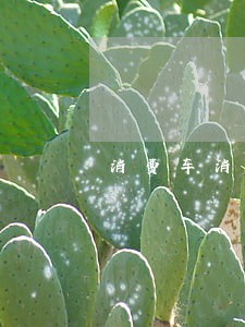 消费车消费款逾期被扣怎么办 消费车消费款逾期被扣怎么办