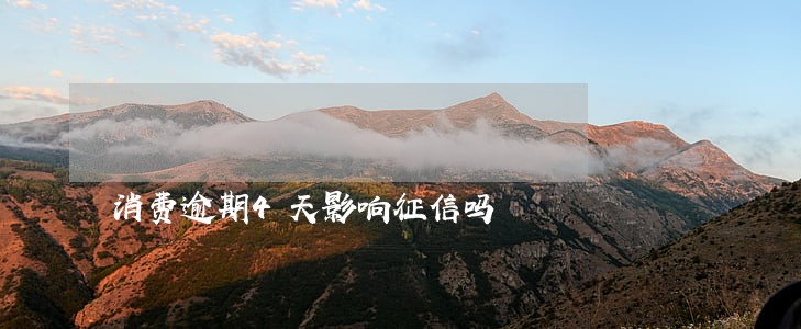 消费逾期4天影响征信吗 消费逾期4天影响征信吗