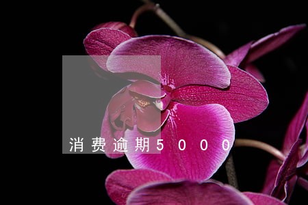 消费逾期5000 消费逾期5000