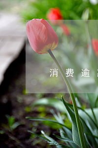 消费逾期和经营逾期有什么区别 消费逾期和经营逾期有什么区别