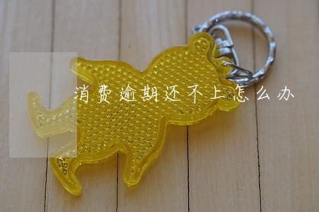 消费逾期还不上怎么办 消费逾期还不上怎么办