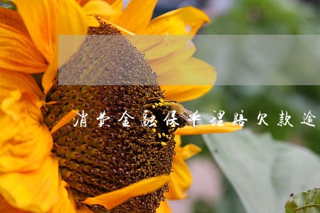 消费金融保单理赔欠款逾期 消费金融保单理赔欠款逾期