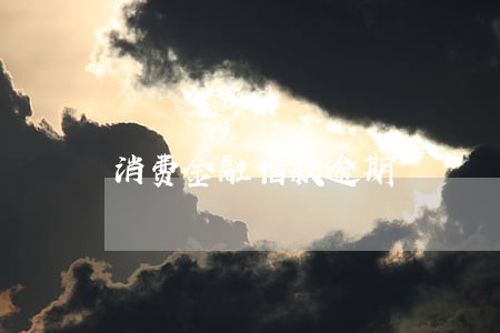 消费金融借款逾期