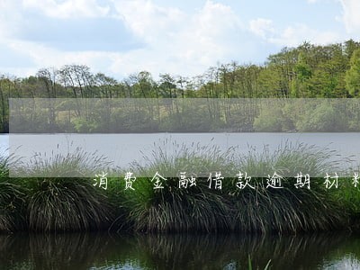 消费金融借款逾期材料 消费金融借款逾期材料