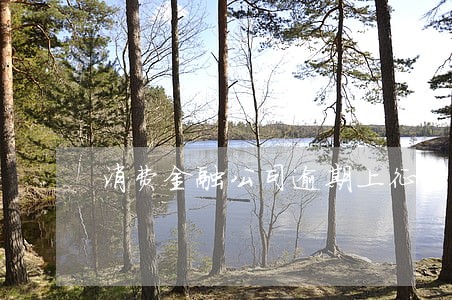 消费金融公司逾期上征信 消费金融公司逾期上征信