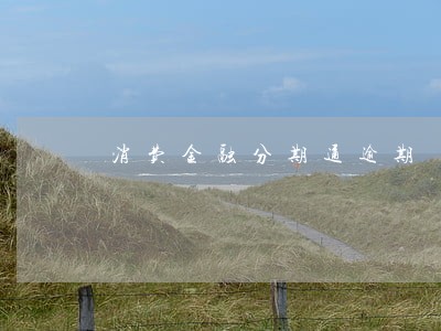消费金融分期通逾期
