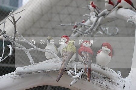消费金融卡逾期 消费金融卡逾期