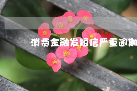 消费金融发短信严重逾期上门 消费金融发短信严重逾期上门