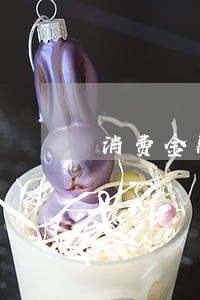 消费金融发逾期信息