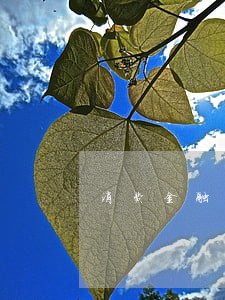 消费金融发逾期短信 消费金融发逾期短信