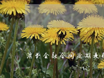 消费金融合同逾期是什么意思 消费金融合同逾期是什么意思