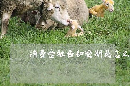 消费金融告知逾期是怎么回事 消费金融告知逾期是怎么回事