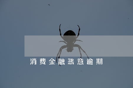 消费金融恶意逾期 消费金融恶意逾期