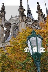 消费金融恶意逾期上门取证 消费金融恶意逾期上门取证