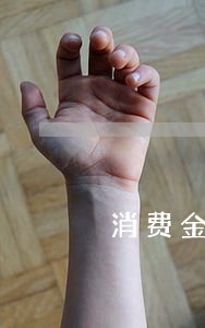 消费金融欠款案件严重逾期案件 消费金融欠款案件严重逾期案件