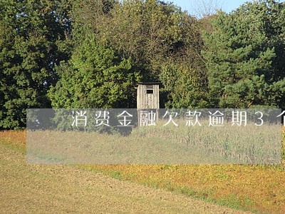 消费金融欠款逾期3个月 消费金融欠款逾期3个月