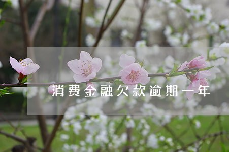消费金融欠款逾期一年 消费金融欠款逾期一年