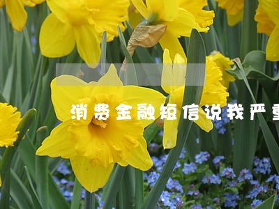 消费金融短信说我严重逾期 消费金融短信说我严重逾期