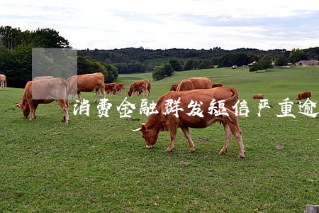 消费金融群发短信严重逾期 消费金融群发短信严重逾期