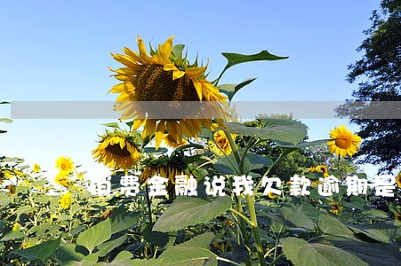 消费金融说我欠款逾期是真的吗 消费金融说我欠款逾期是真的吗