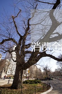 消费金融说设置逾期彩铃 消费金融说设置逾期彩铃