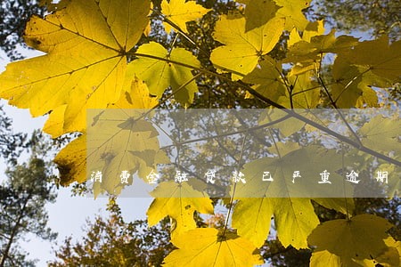 消费金融贷款已严重逾期