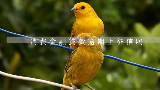 消费金融贷款逾期上征信吗 消费金融贷款逾期上征信吗