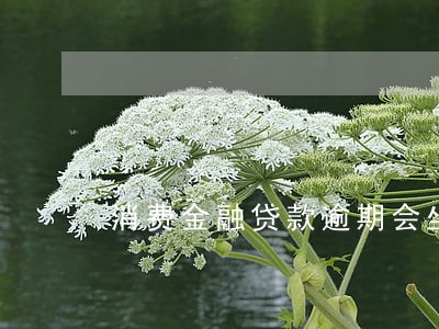 消费金融贷款逾期会坐牢吗 消费金融贷款逾期会坐牢吗