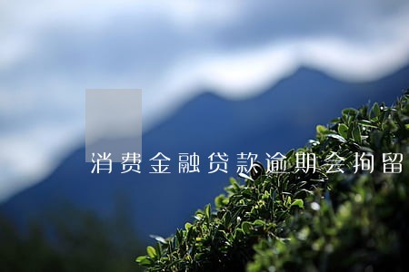 消费金融贷款逾期会拘留吗 消费金融贷款逾期会拘留吗
