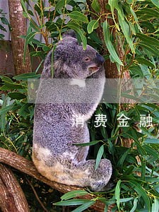 消费金融贷款逾期未5年 消费金融贷款逾期未5年