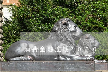 消费金融逾期2000 消费金融逾期2000