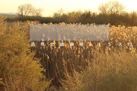 消费金融逾期315天打电话 消费金融逾期315天打电话