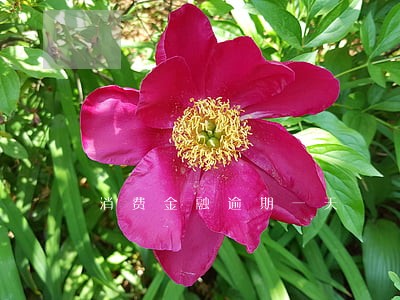 消费金融逾期一天 消费金融逾期一天