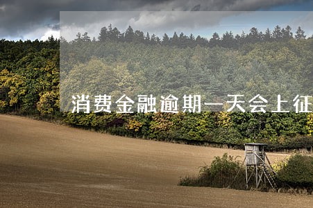 消费金融逾期一天会上征信吗