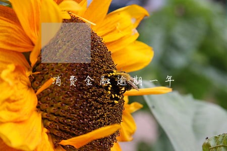 消费金融逾期一年 消费金融逾期一年