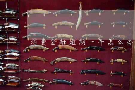 消费金融逾期一年怎么办 消费金融逾期一年怎么办