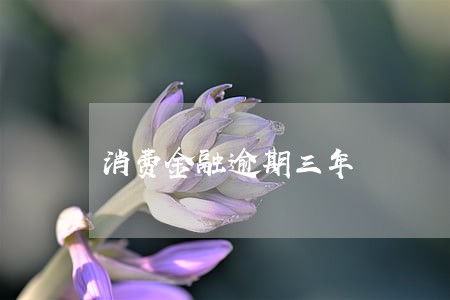 消费金融逾期三年 消费金融逾期三年