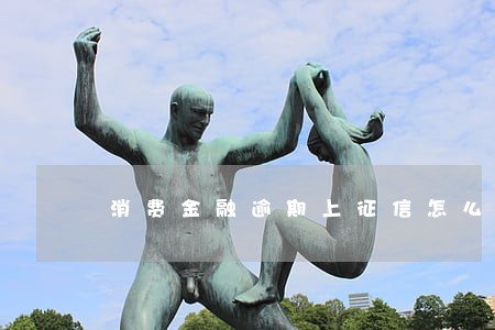 消费金融逾期上征信怎么消除 消费金融逾期上征信怎么消除