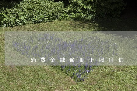 消费金融逾期上报征信 消费金融逾期上报征信