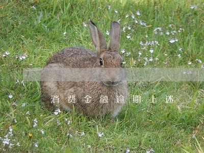 消费金融逾期上述 消费金融逾期上述