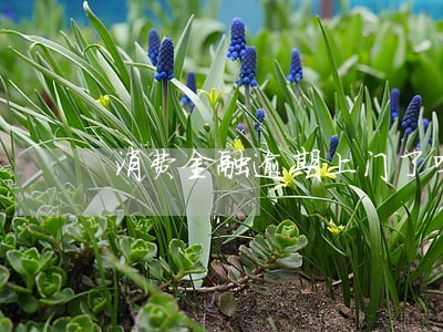 消费金融逾期上门了吗 消费金融逾期上门了吗