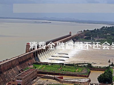 消费金融逾期不还会坐牢吗