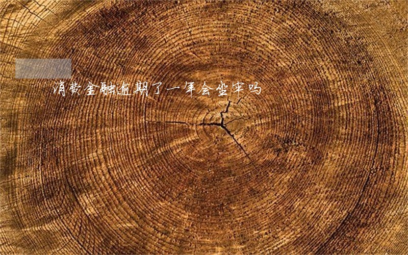 消费金融逾期了一年会坐牢吗 消费金融逾期了一年会坐牢吗