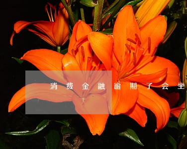消费金融逾期了会坐牢吗 消费金融逾期了会坐牢吗