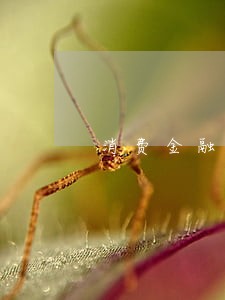 消费金融逾期了然后收到快递 消费金融逾期了然后收到快递