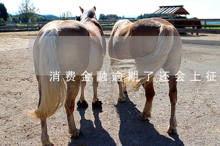 消费金融逾期了还会上征信吗