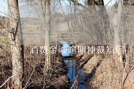 消费金融逾期仲裁短信 消费金融逾期仲裁短信