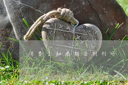 消费金融逾期会判刑吗 消费金融逾期会判刑吗